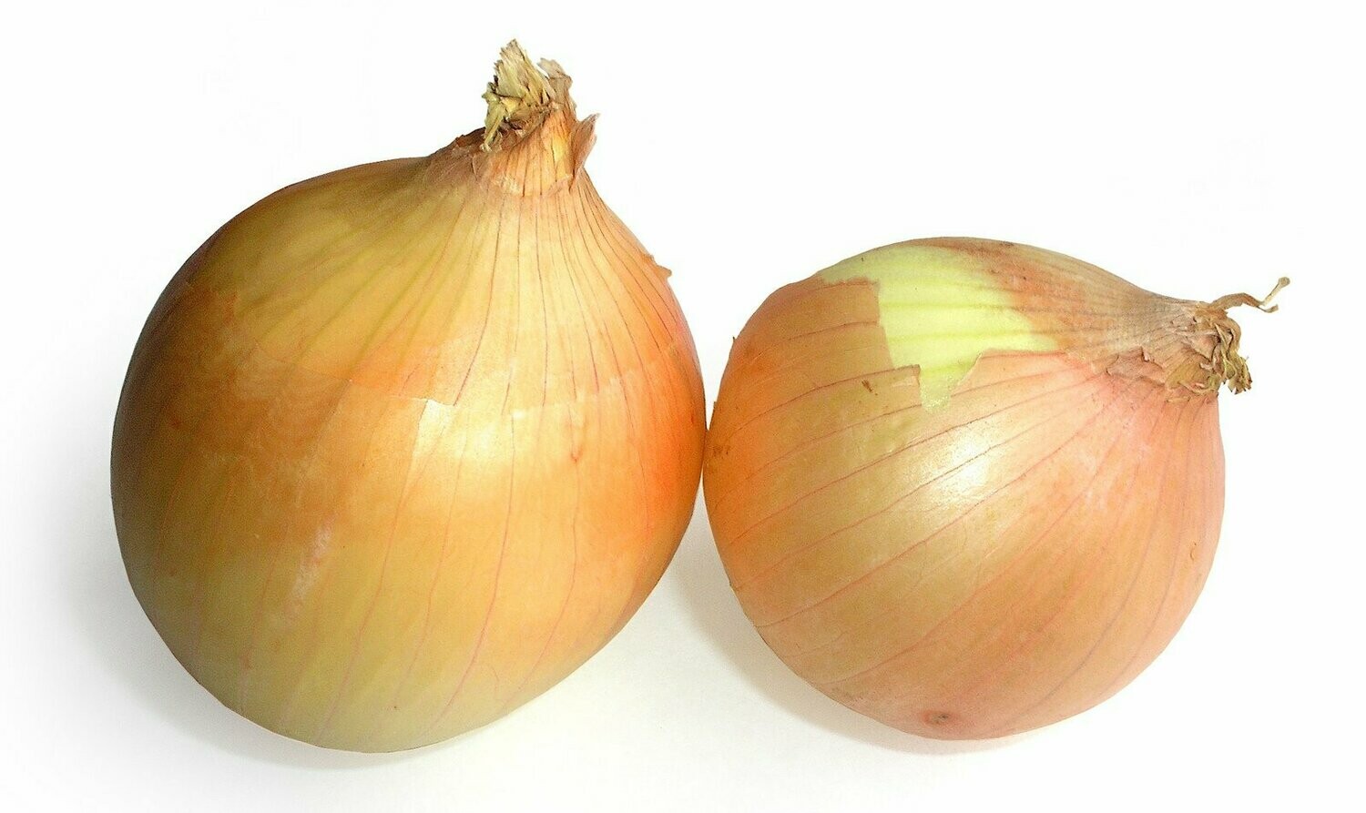 3 Medium Onion