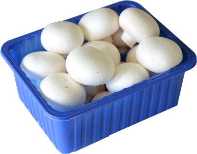 250g Mushrooms