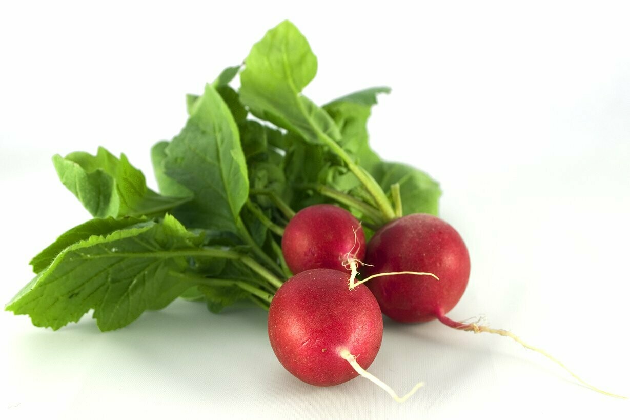 1 Radish
