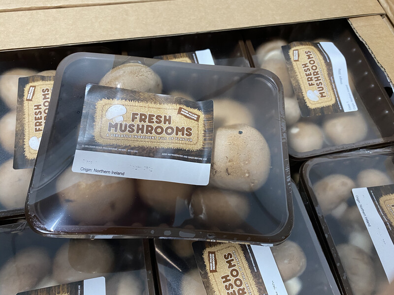 250g Chestnut Mushroom