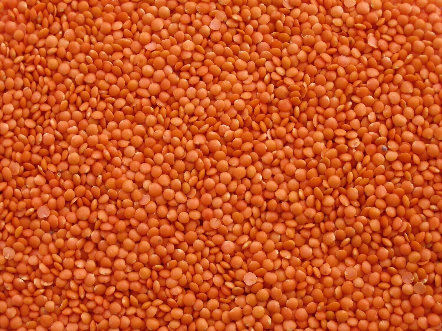 500g Lentils