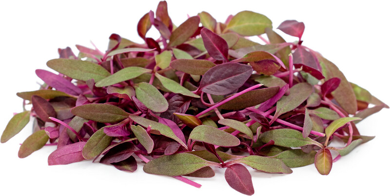 30g Micro Herbs