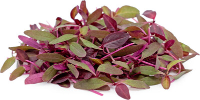 30g Micro Herbs