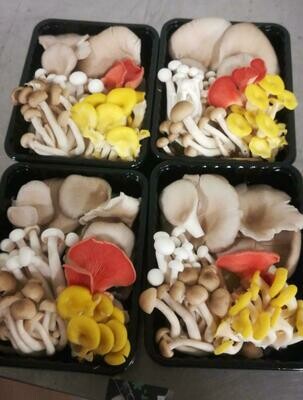 200g Mixed Mushroom
