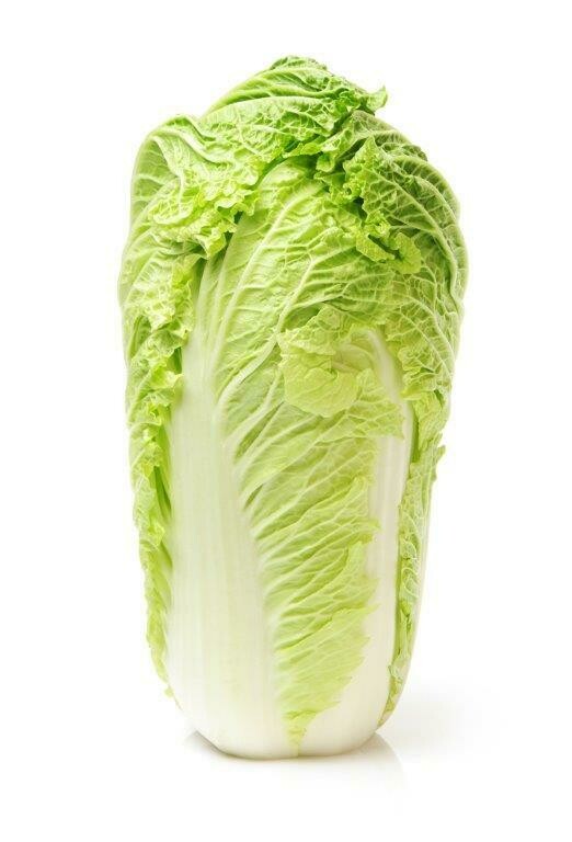1 Chinese Leaf