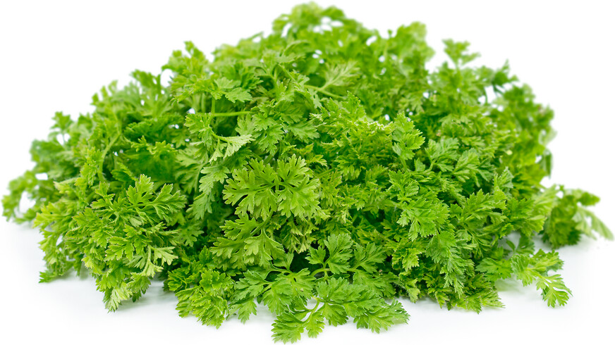 50g Chervil