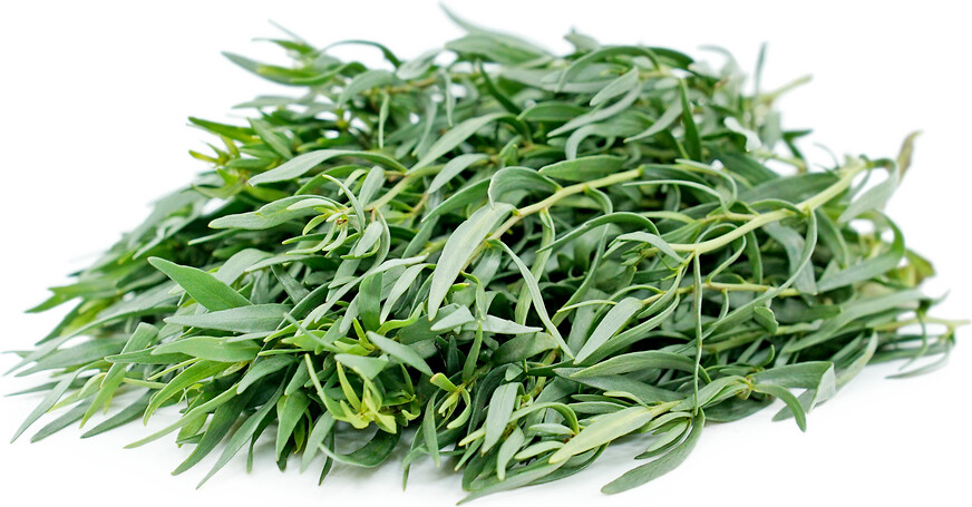 50g Tarragon