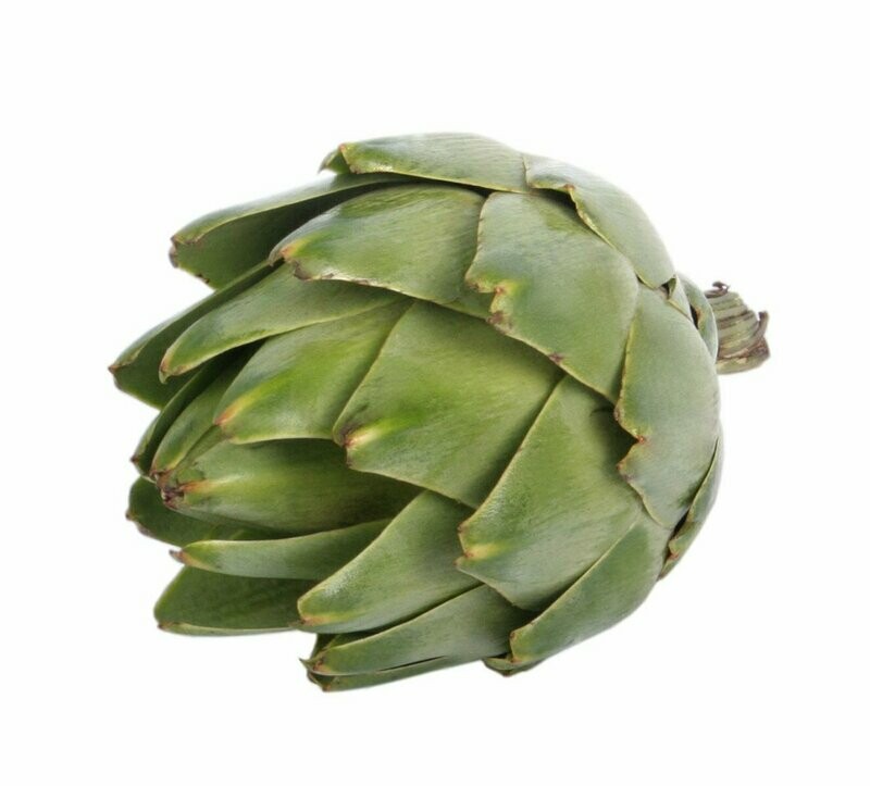 1 Globe Artichoke