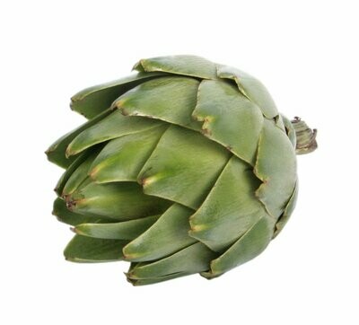 1 Globe Artichoke