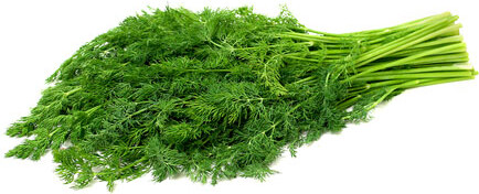 50g Dill