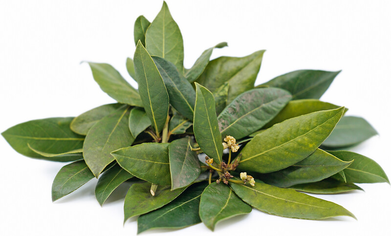50g Bayleaf