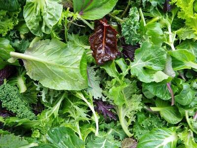 Salad