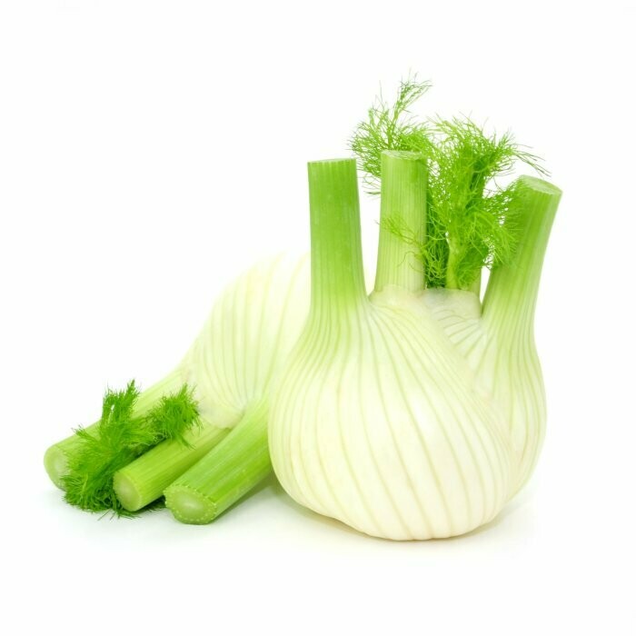 1 Fennel