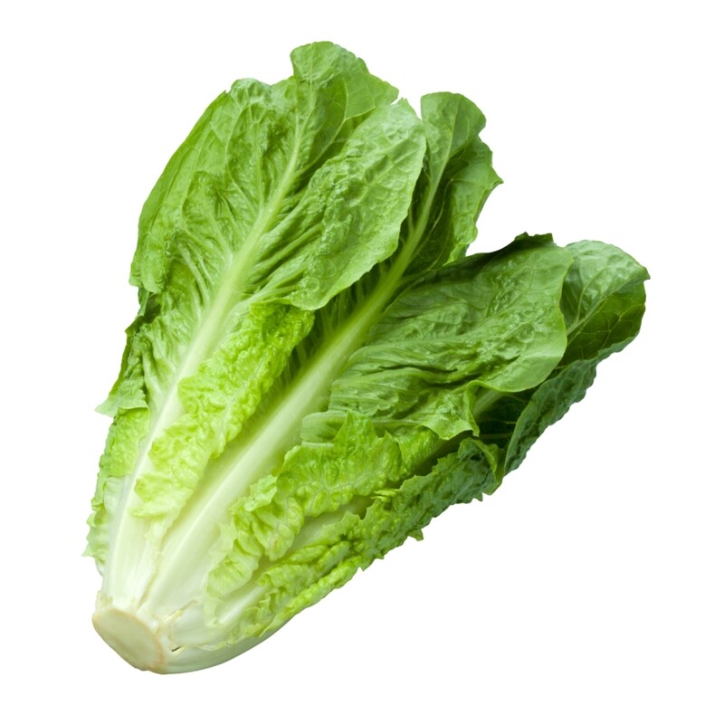 1 Cos Lettuce