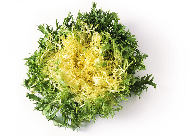 1 Endive Lettuce