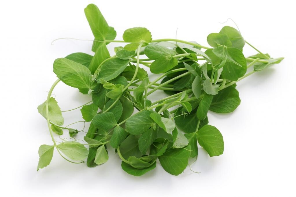 100g Peashoots