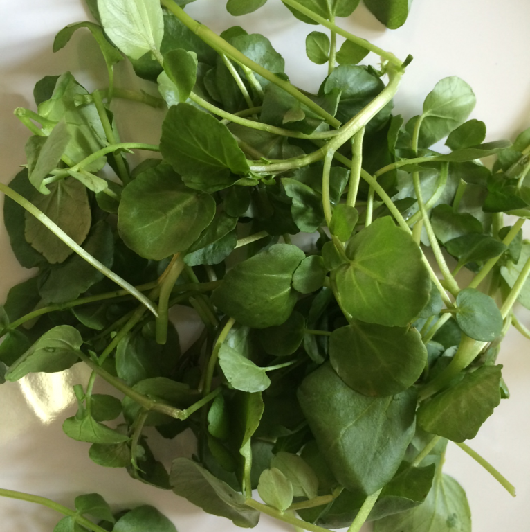 90g Watercress