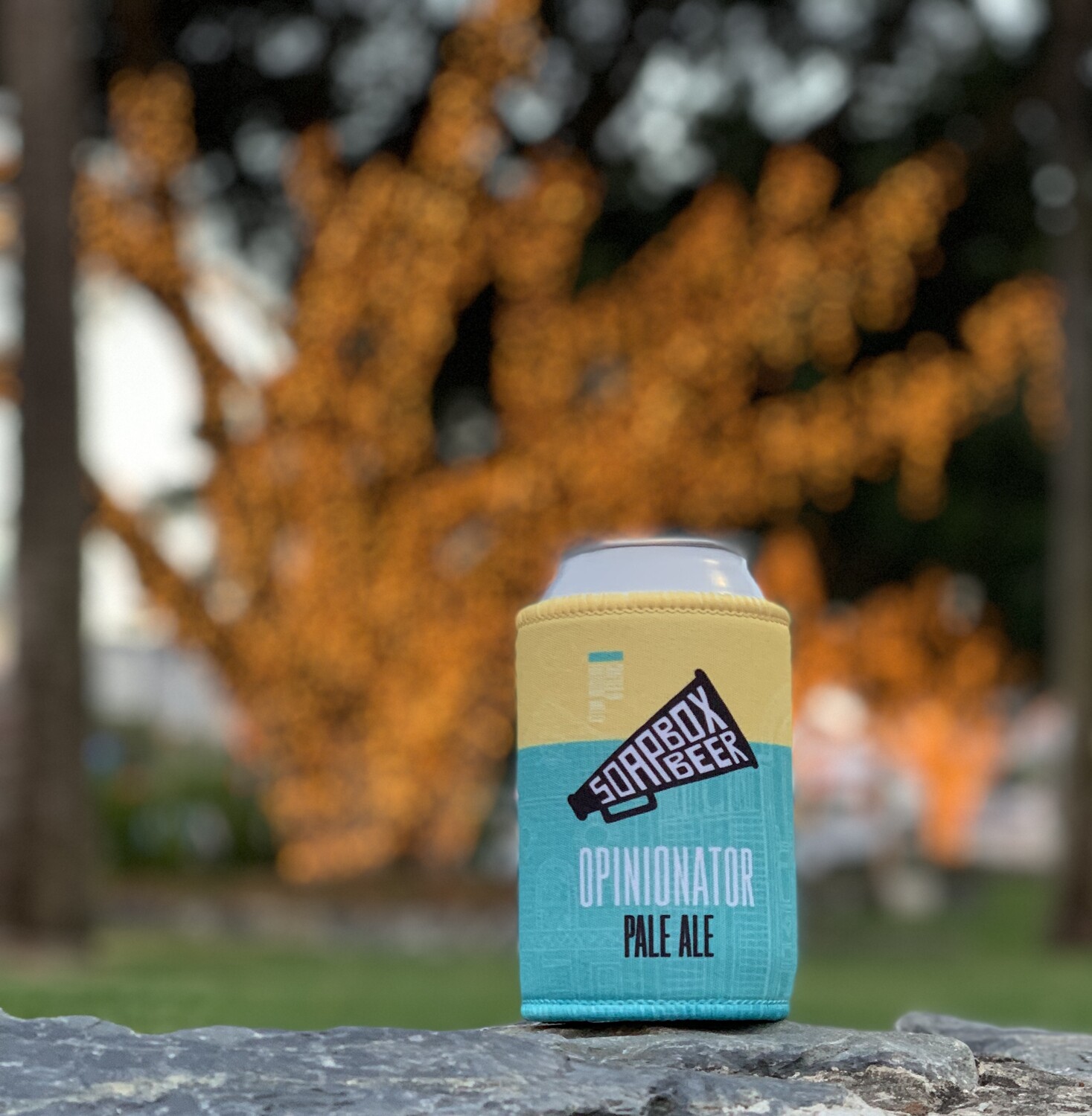 Soapbox in a Can Cooler