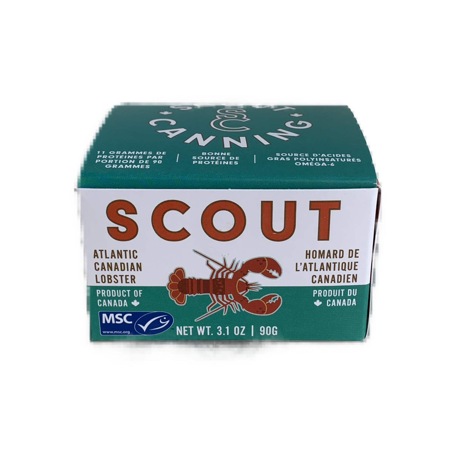 SCOUT atlantic Canadian lobster 