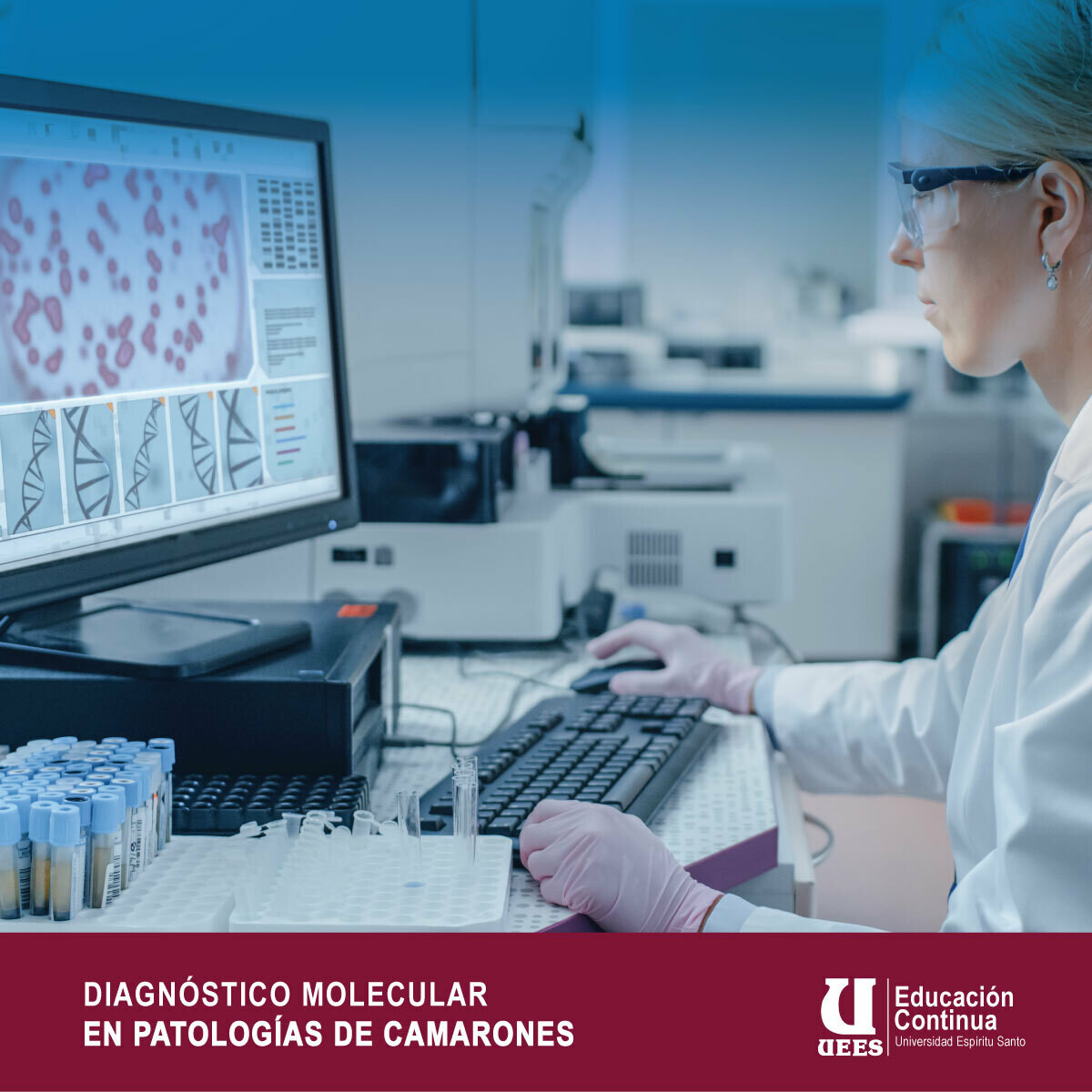 Diagnóstico Molecular en Patología de Camarones
