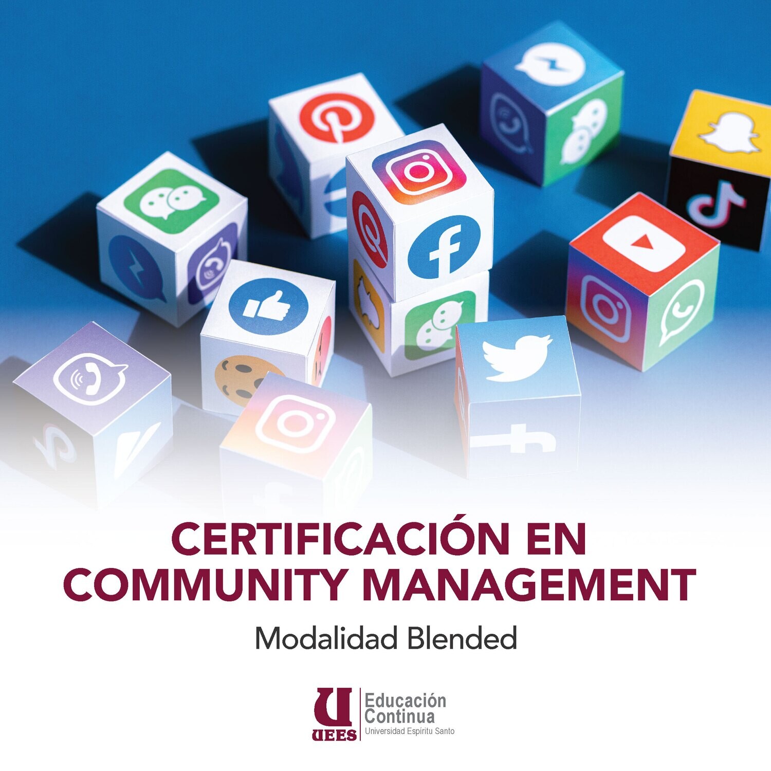 Certificación Community Management