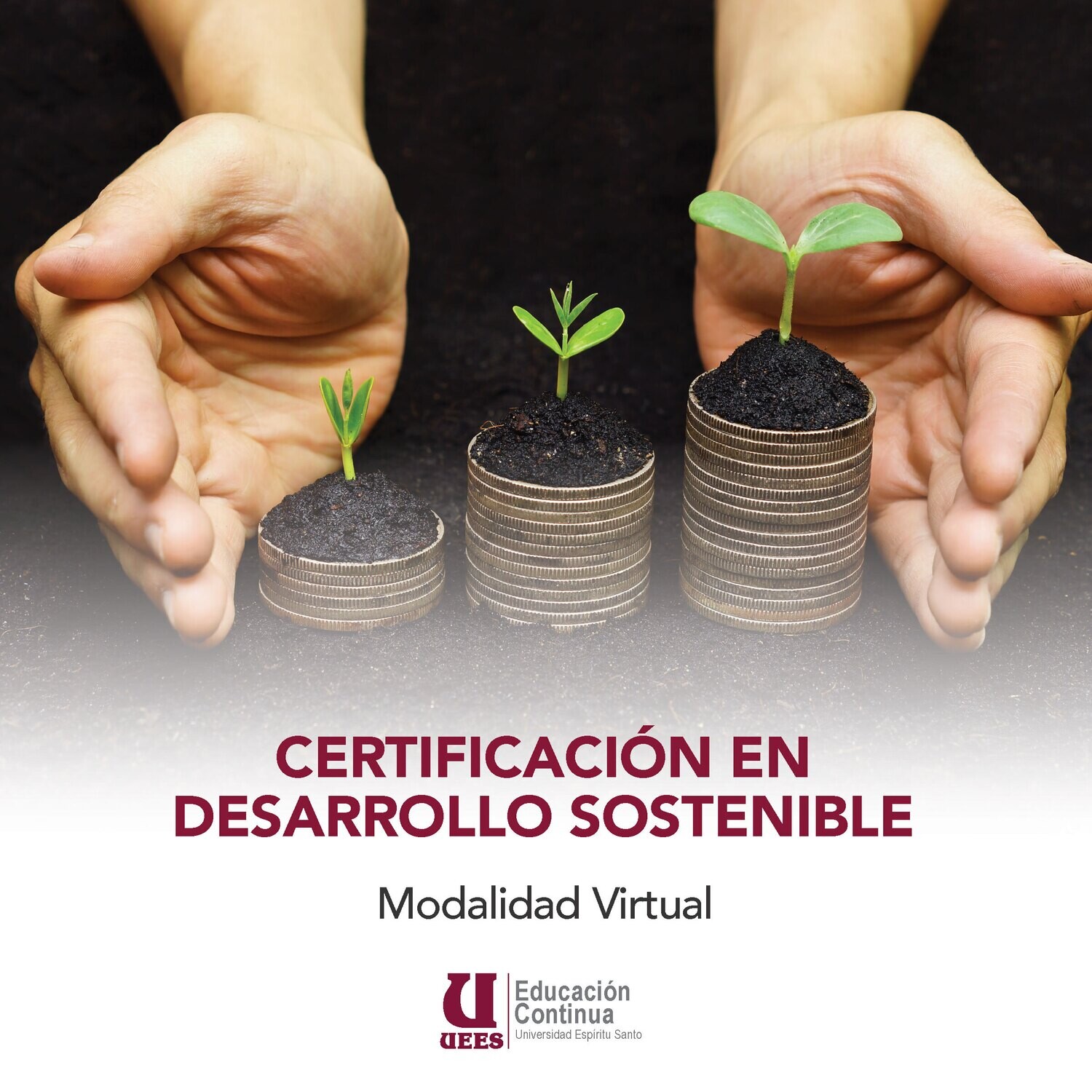 Certificación en Desarrollo Sostenible