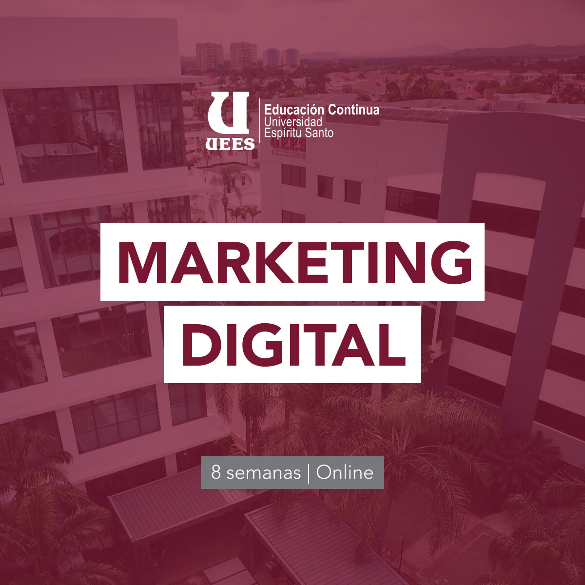 Programa de Marketing Digital