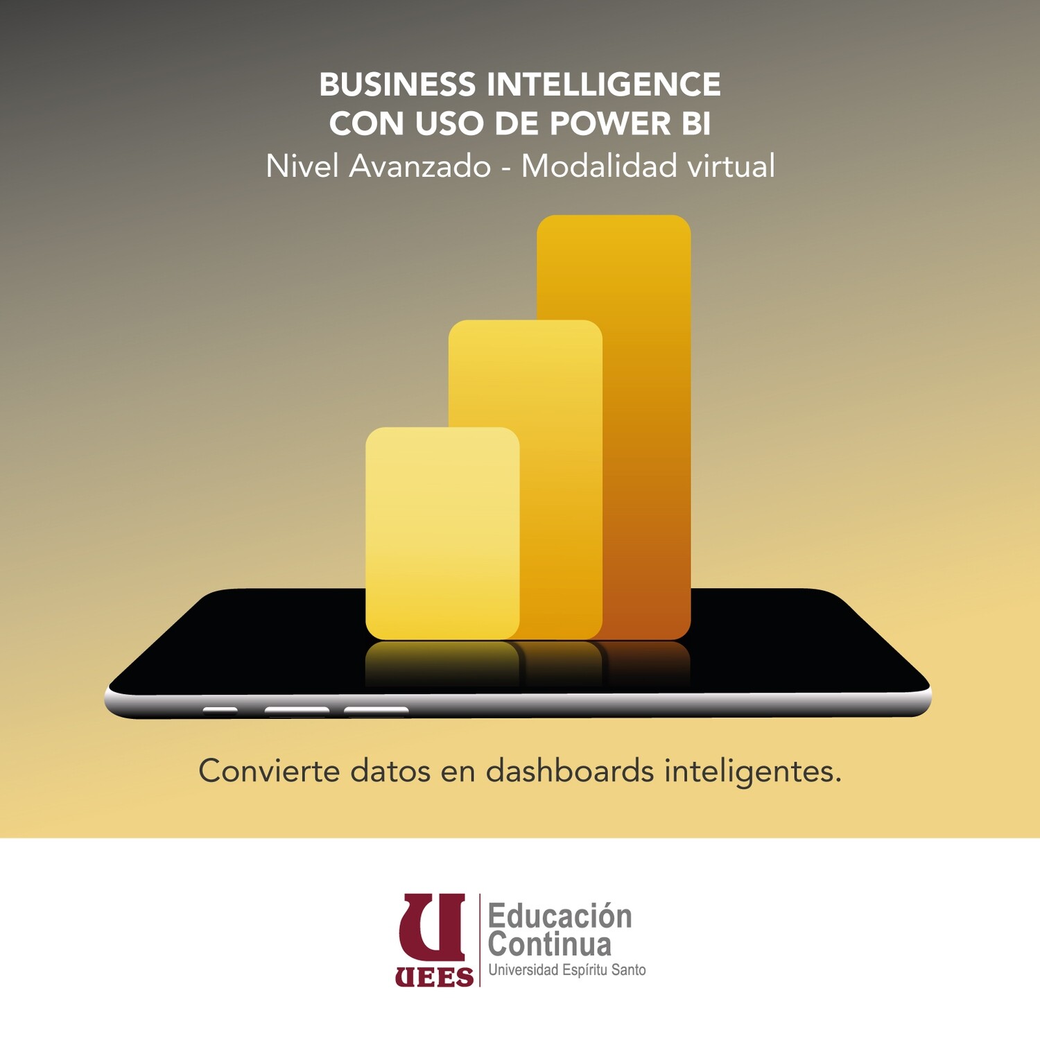 Business Intelligence con uso de Power BI - Nivel Avanzado