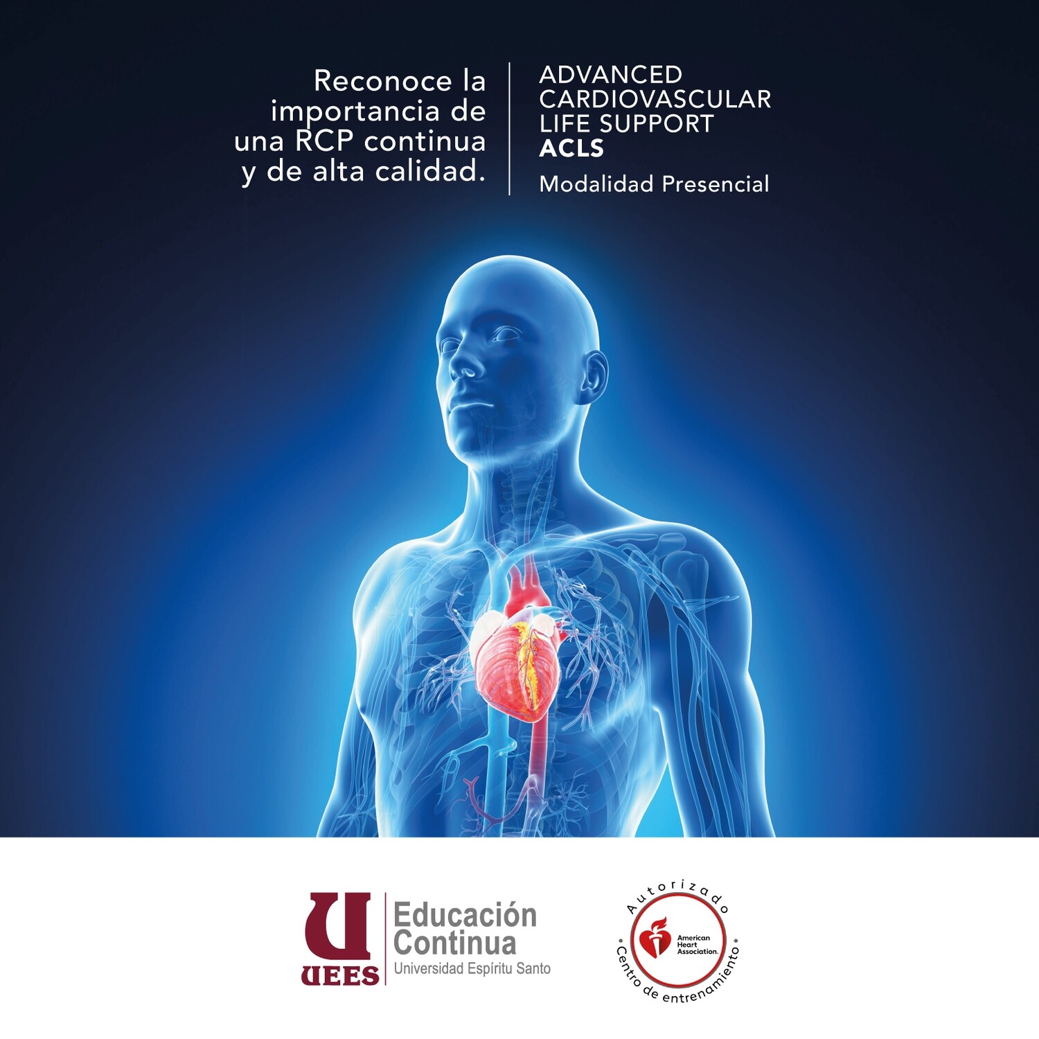 ADVANCED CARDIOVASCULAR LIFE SUPPORT ACLS