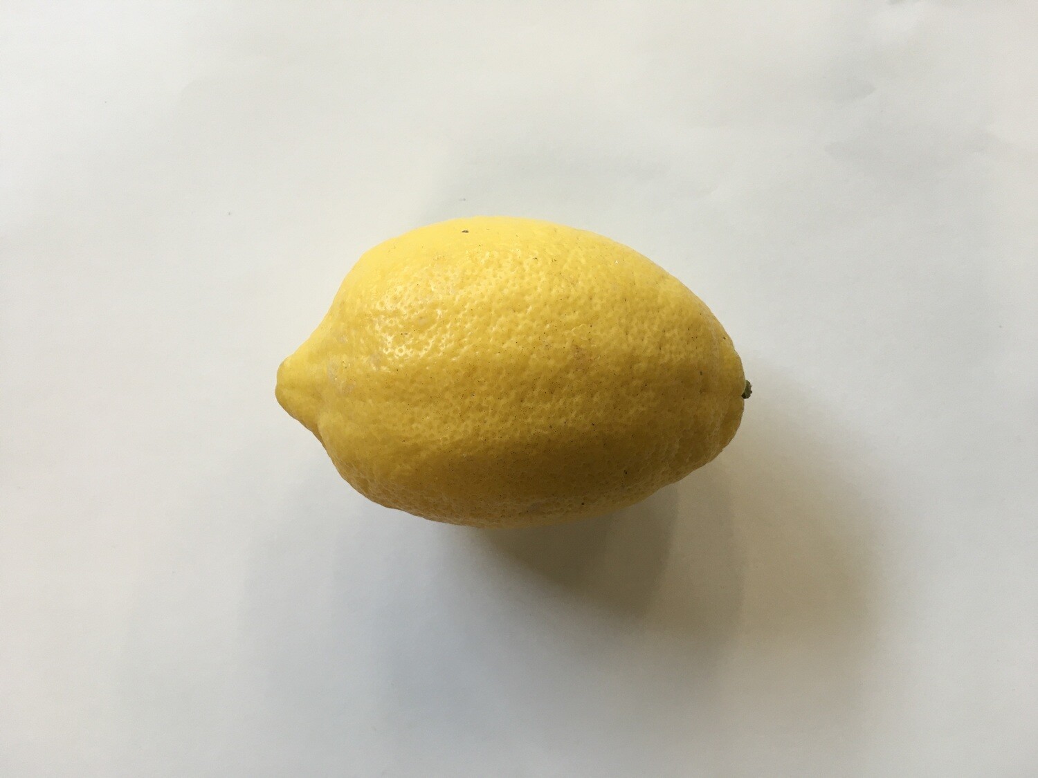 Produce / Fruit / EXTRA Jumbo Organic Lemon