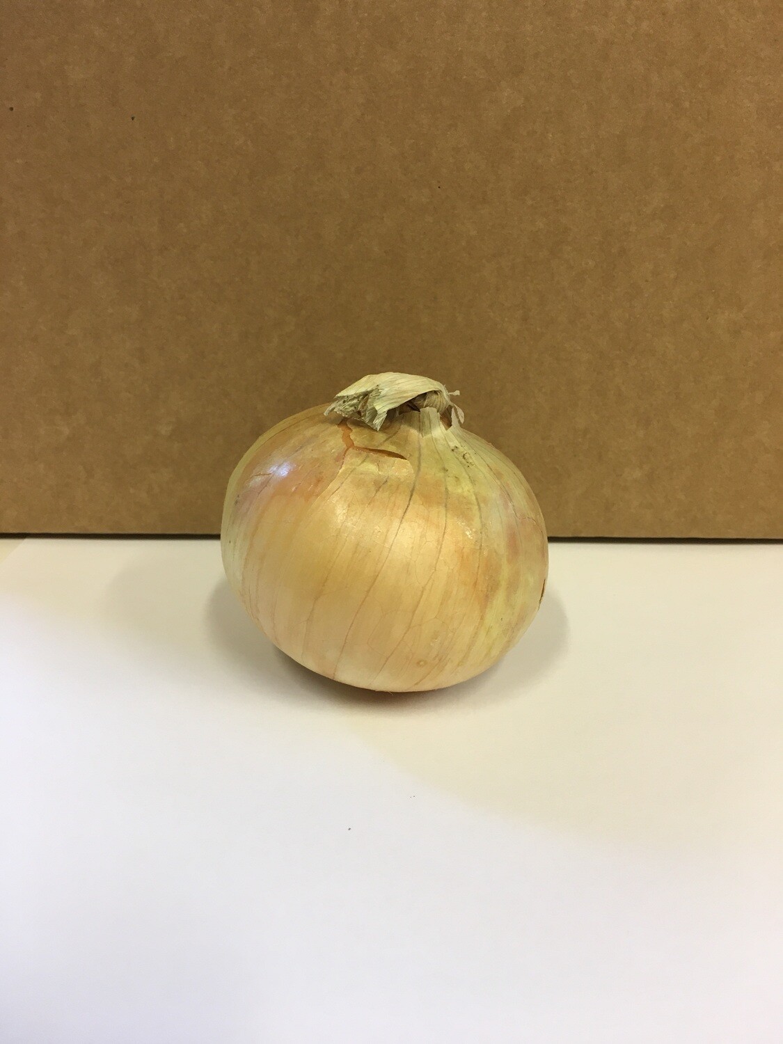 Produce / Vegetable / Organic Yellow Onion
