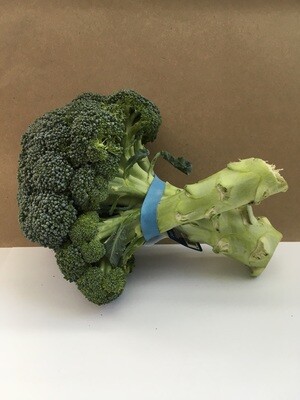 Produce / Vegetable / Organic Broccoli, 1 bunch