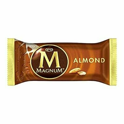 Frozen / Ice Cream Novelty / Magnum Almond Bar