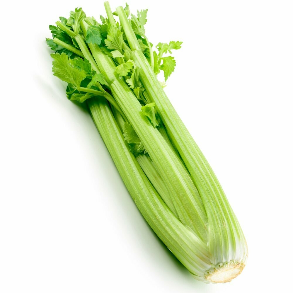 Produce / Vegetable / Organic Celery