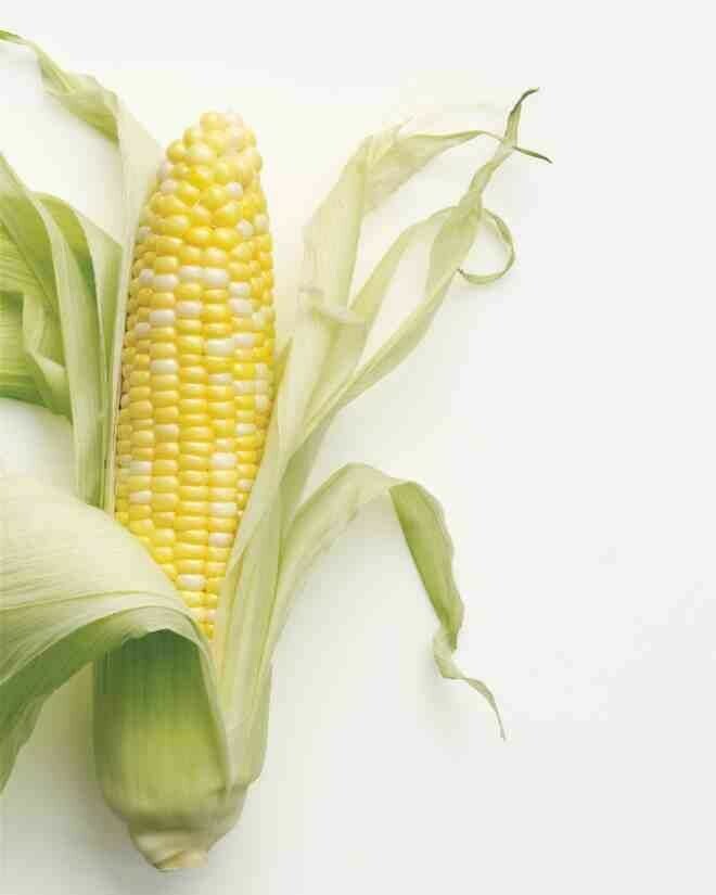Produce / Vegetable / Organic Corn on the Cob, Bi-Color