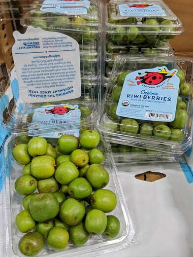 Produce / Fruit / Organic Kiwi Berry, 6 oz.