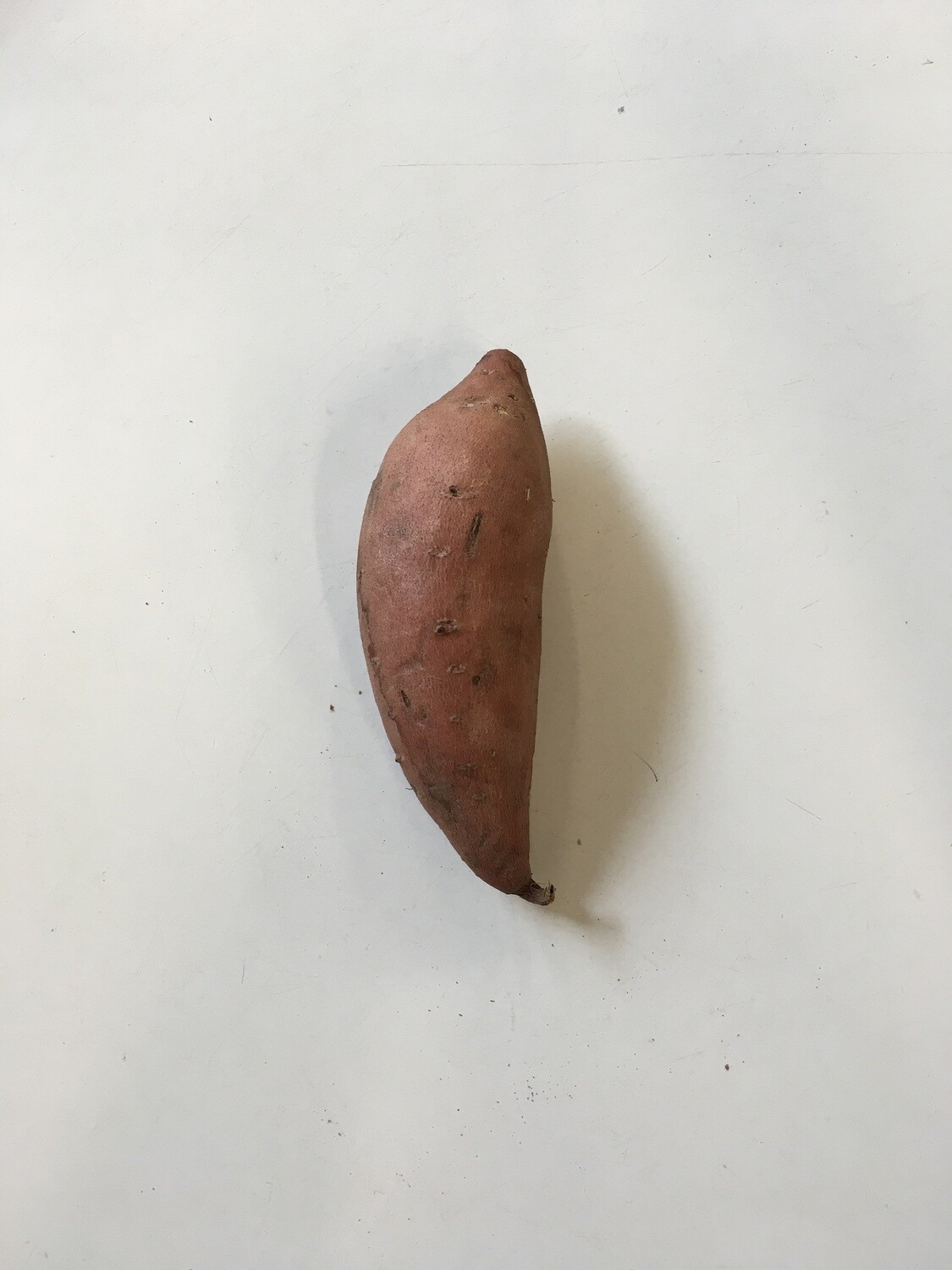 Produce / Vegetable / Organic Single Sweet Potato