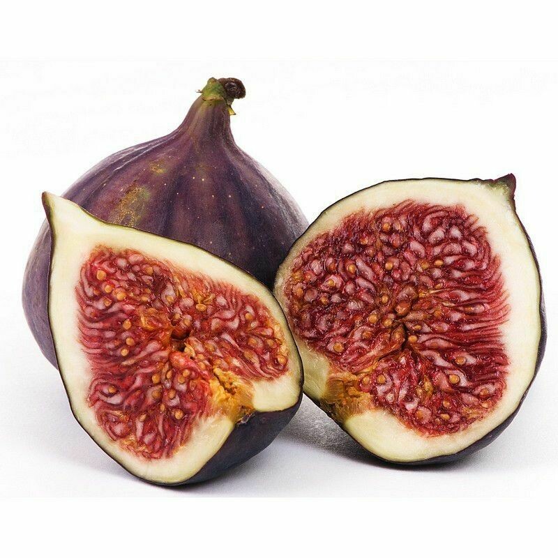 FIGS (EACH)