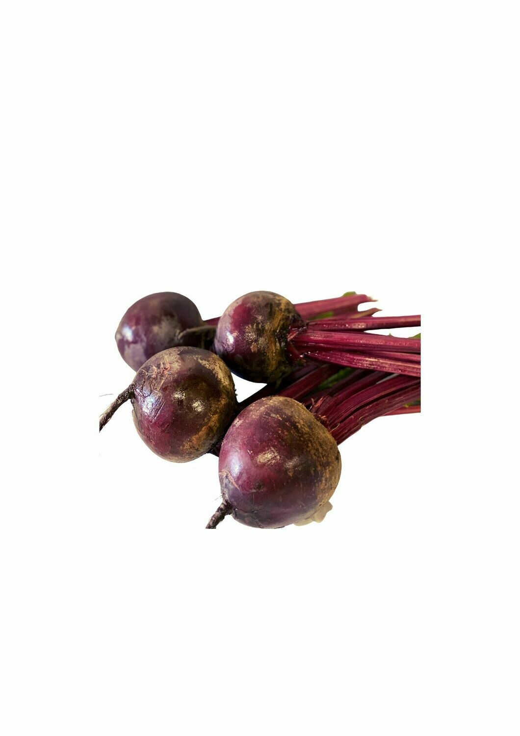 BEETROOT HEAD ONLY (EACH)