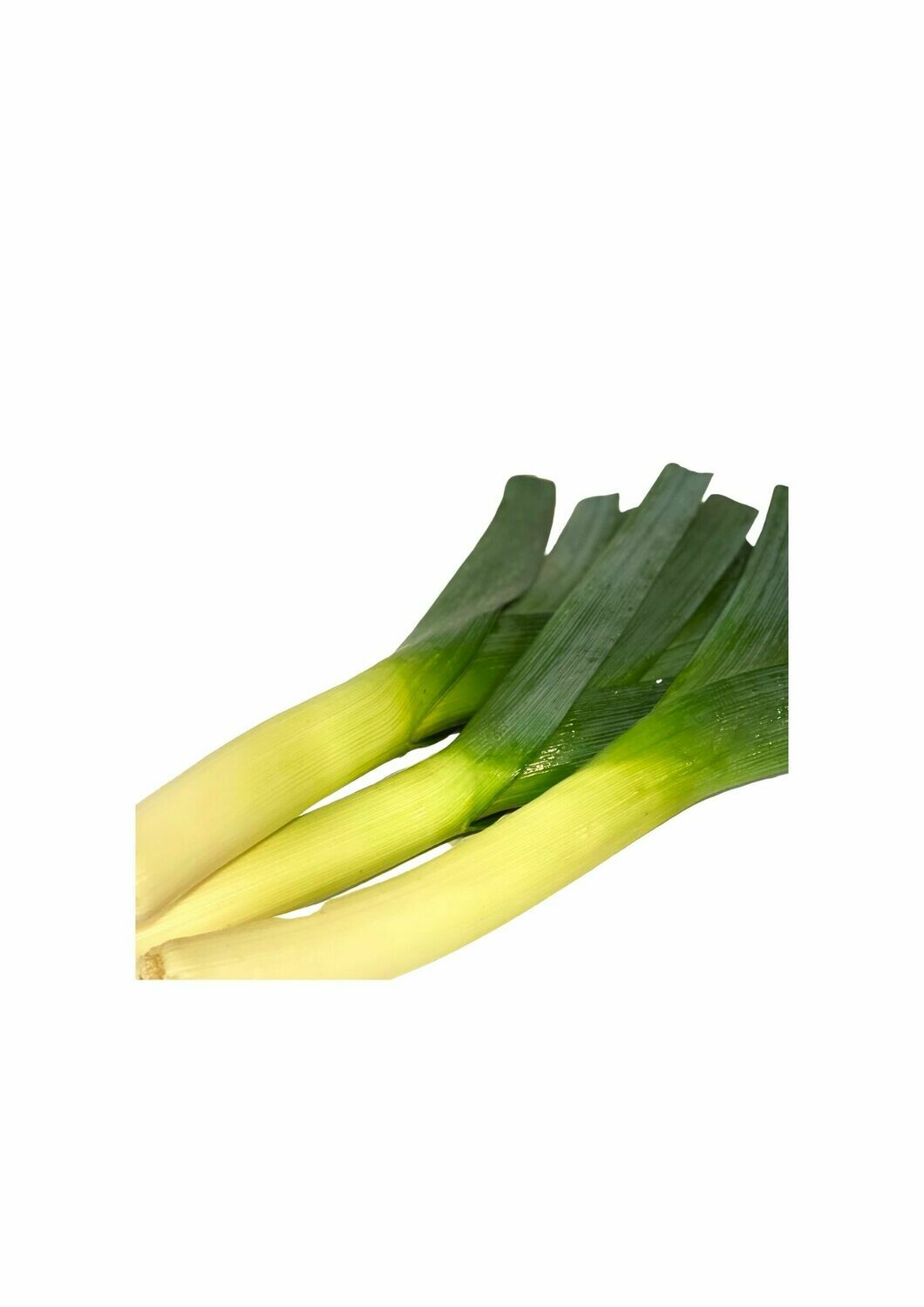 LEEK