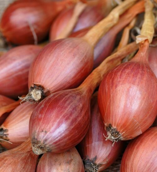 SHALLOTS (300G BAG)