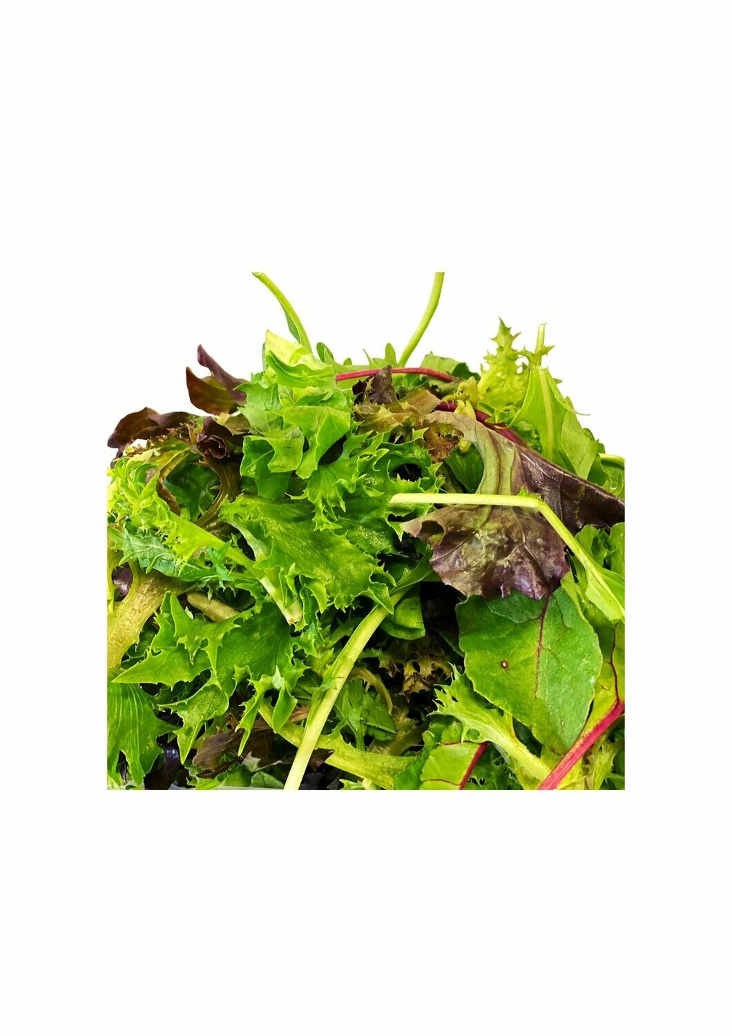 SALAD MIX (LOOSE)