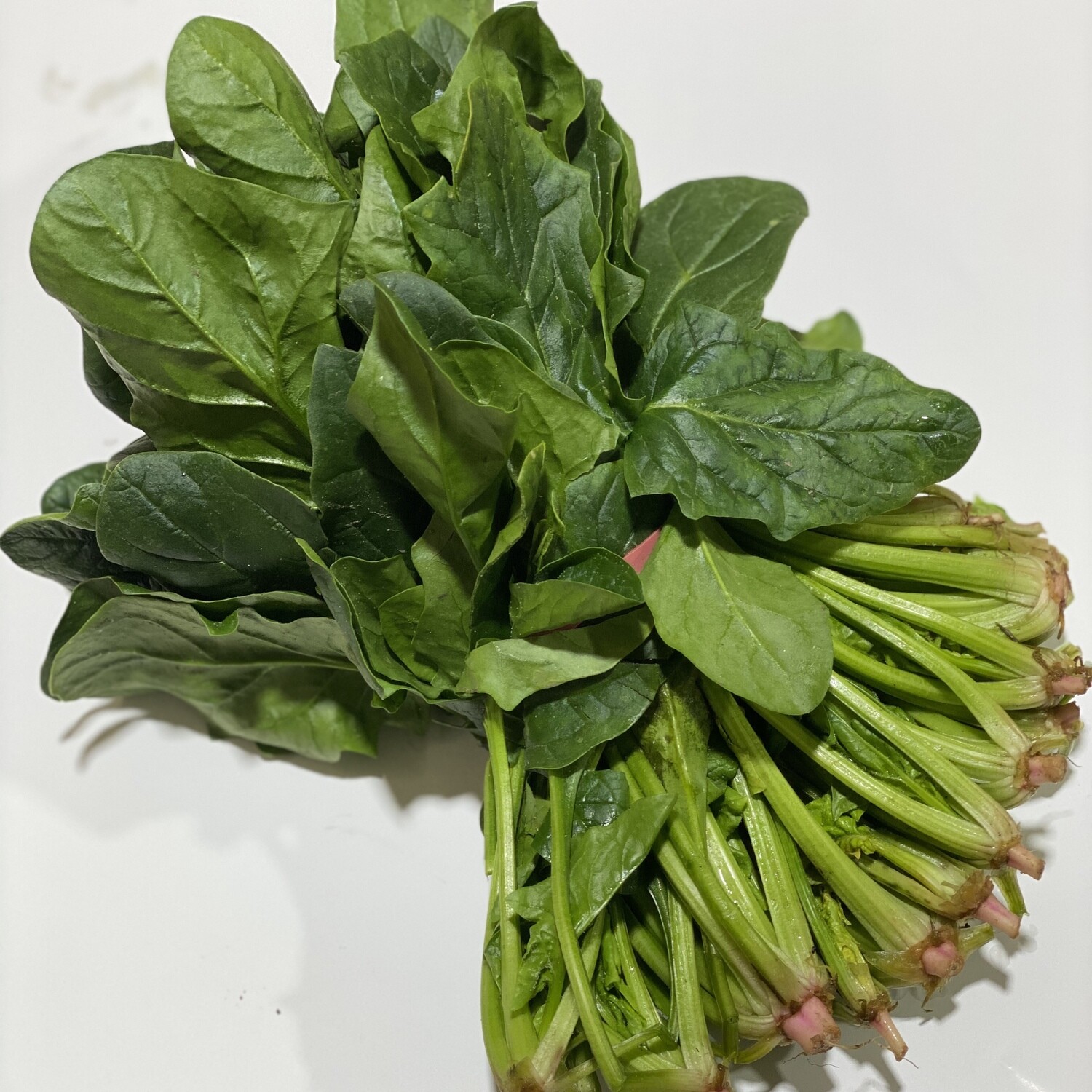 SPINACH (ENGLISH) BUNCH