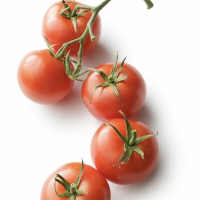 TOMATOES TRUSS (5 PIECES)