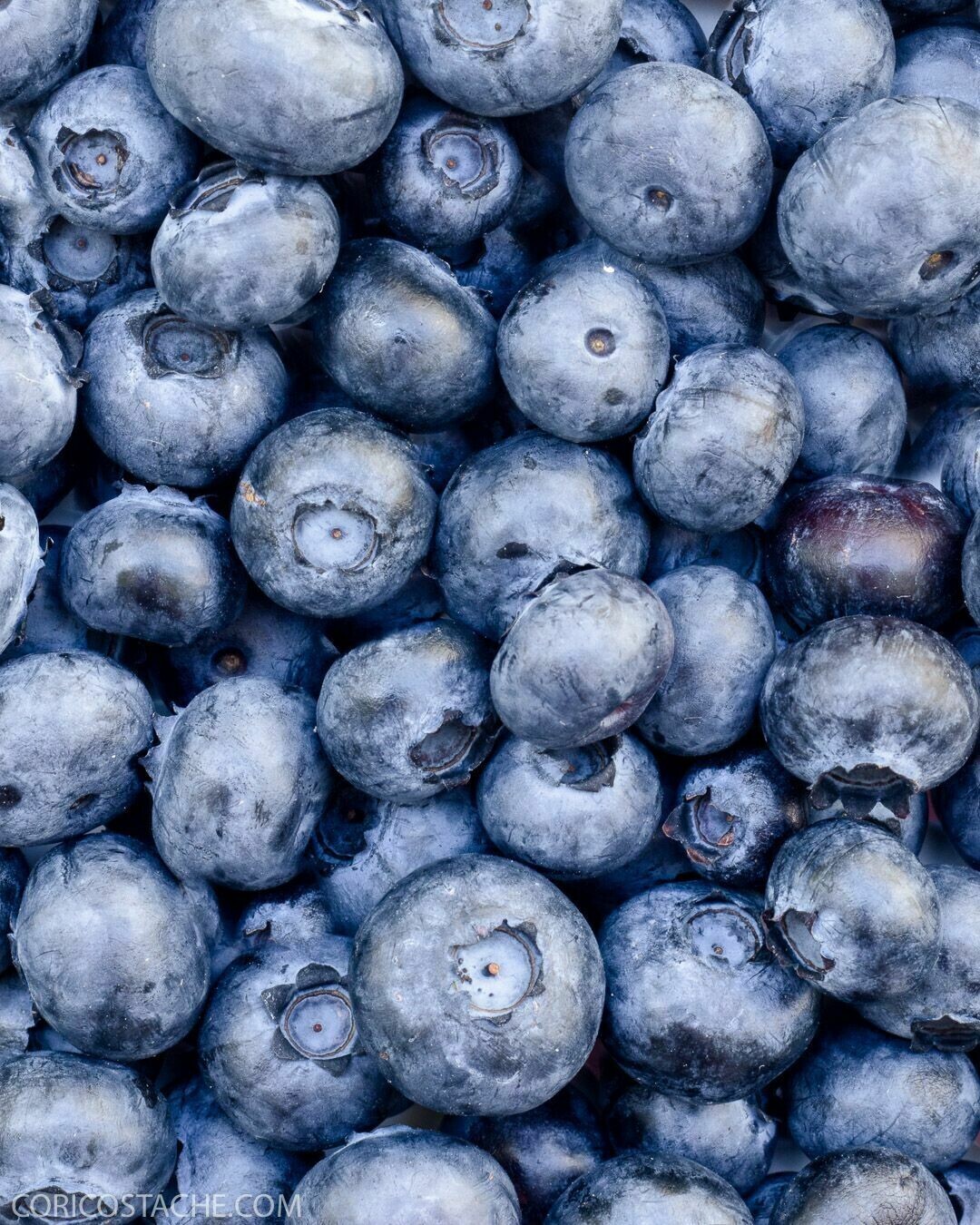 BLUEBERRY (125g PUNNET)