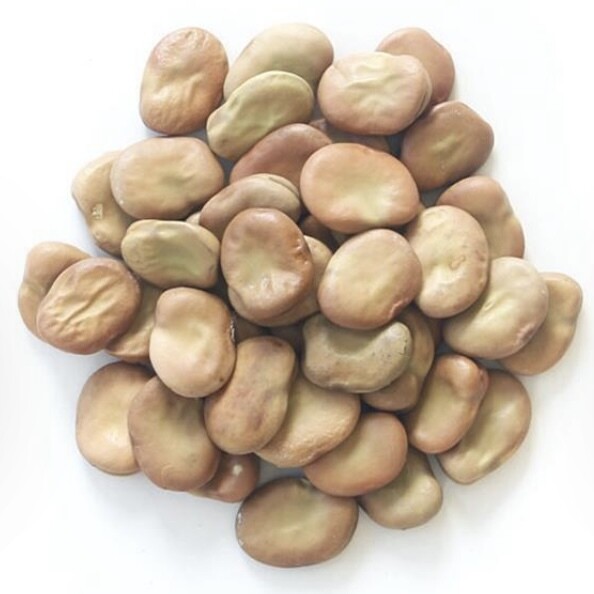 REDUCED - BROAD BEANS 500g $1.49