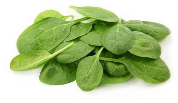 Spinach Leaves 120g Spinach Leaves 120g