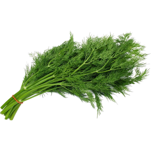 Dill Bunch Dill Bunch