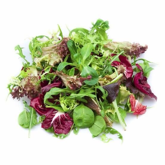 Salad Mix 120g