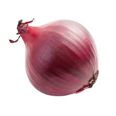 Onion Red Each